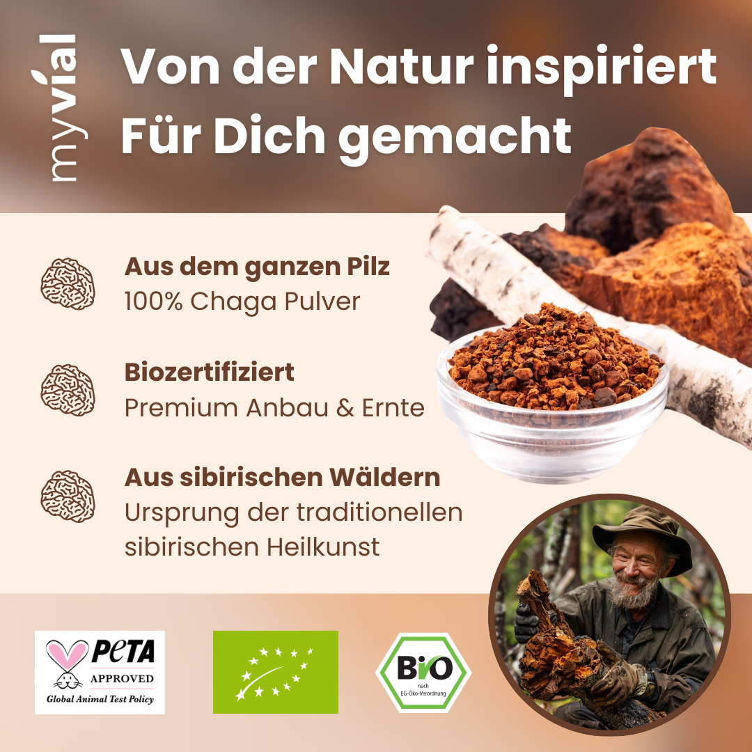 Bio Chaga Kapseln