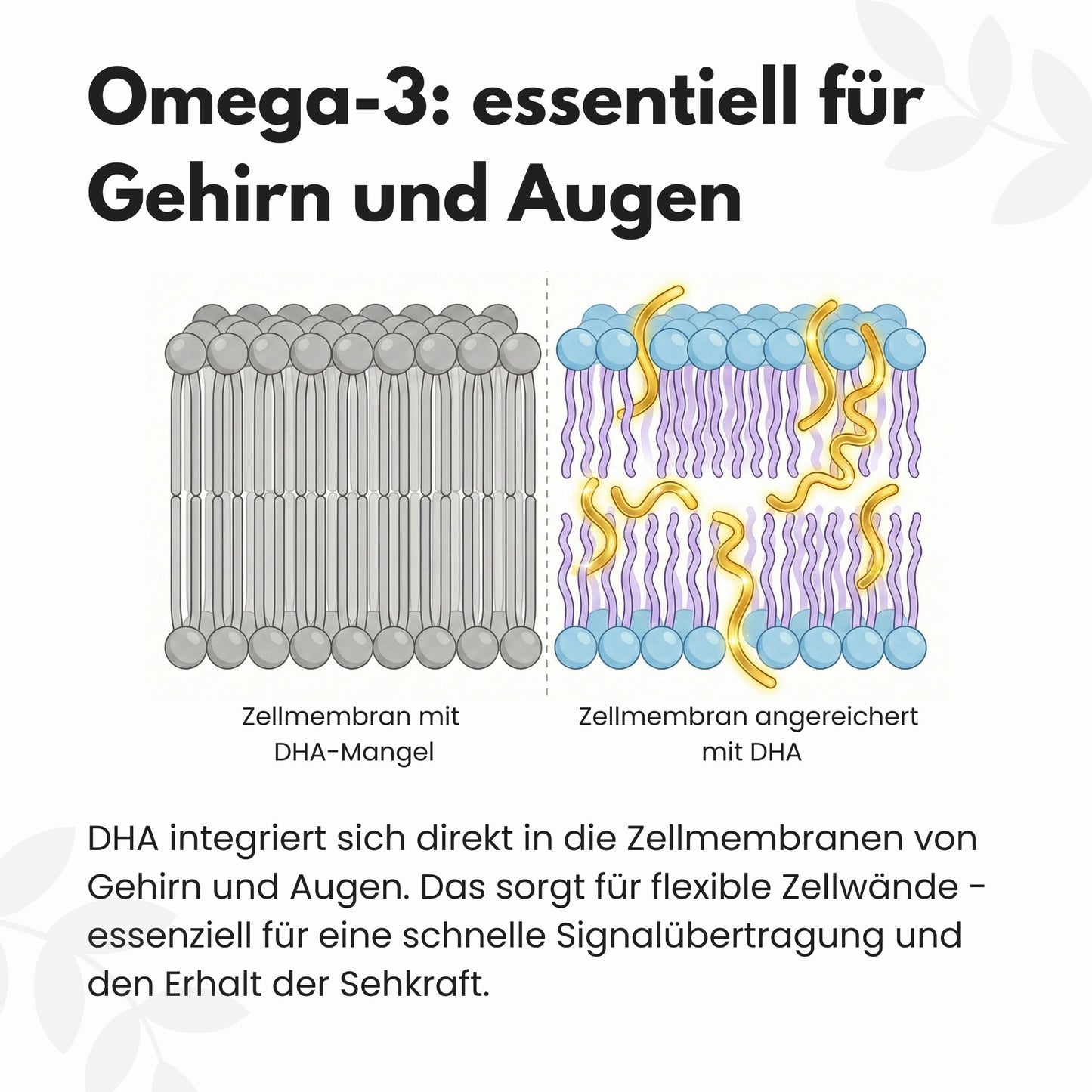 Omega 3 Kapseln aus Algenöl - Vegan