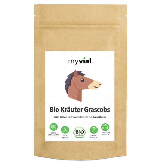 Bio Kräuter Grascobs Heucobs Leckerli für Pferde 6kg